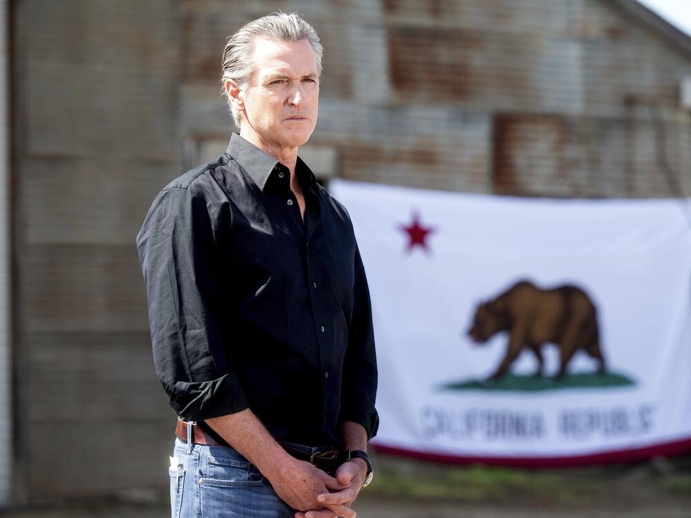 California Gov. Gavin Newsom stands in front of a state flag during a press conference about President Trump's tariffs on April 16.
