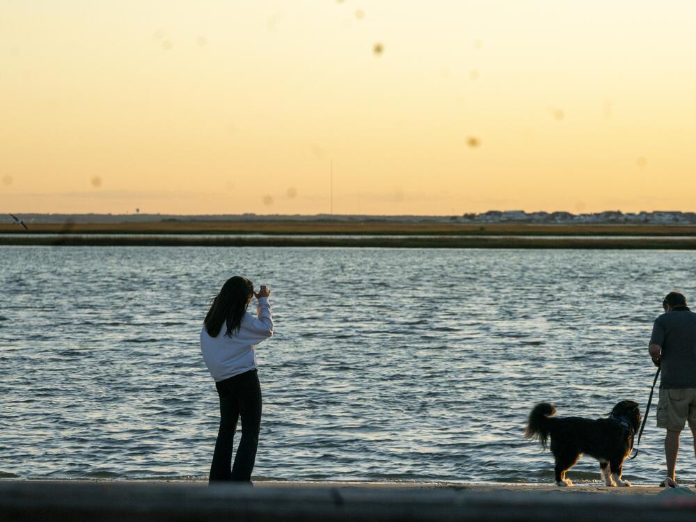 When one looks across the water toward Stafford Township, it is easy to see how low the township sits. Some homes sit right on the water, along human-made lagoons.