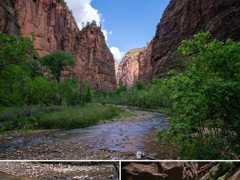 Before reaching the residents of St. George, the Virgin River runs through Zion National Park, attracting diverse wildlife and millions of tourists each year.