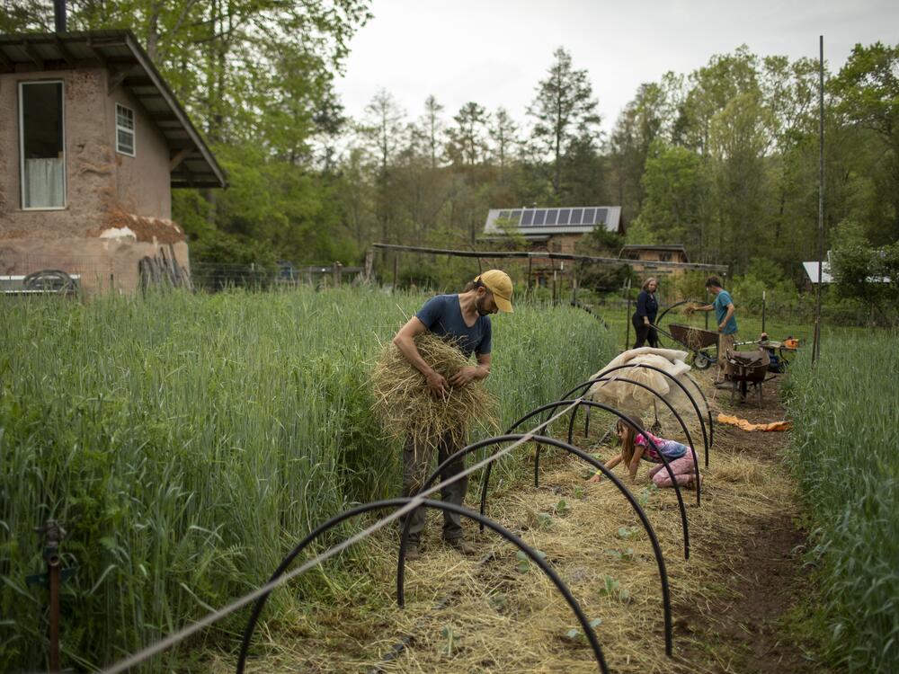 Earthaven Ecovillage members work together to plant crops in their shared garden. Like many ecovillages, Earthaven's culture is built on a strong spirit of collaboration.