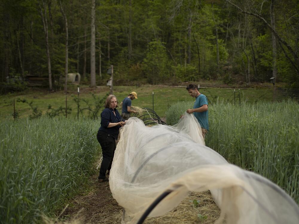 The cooperative spirit of Earthaven's residents saw the community through Hurricane Helene. But the residents say there is still work to be done to make themselves even more resilient.