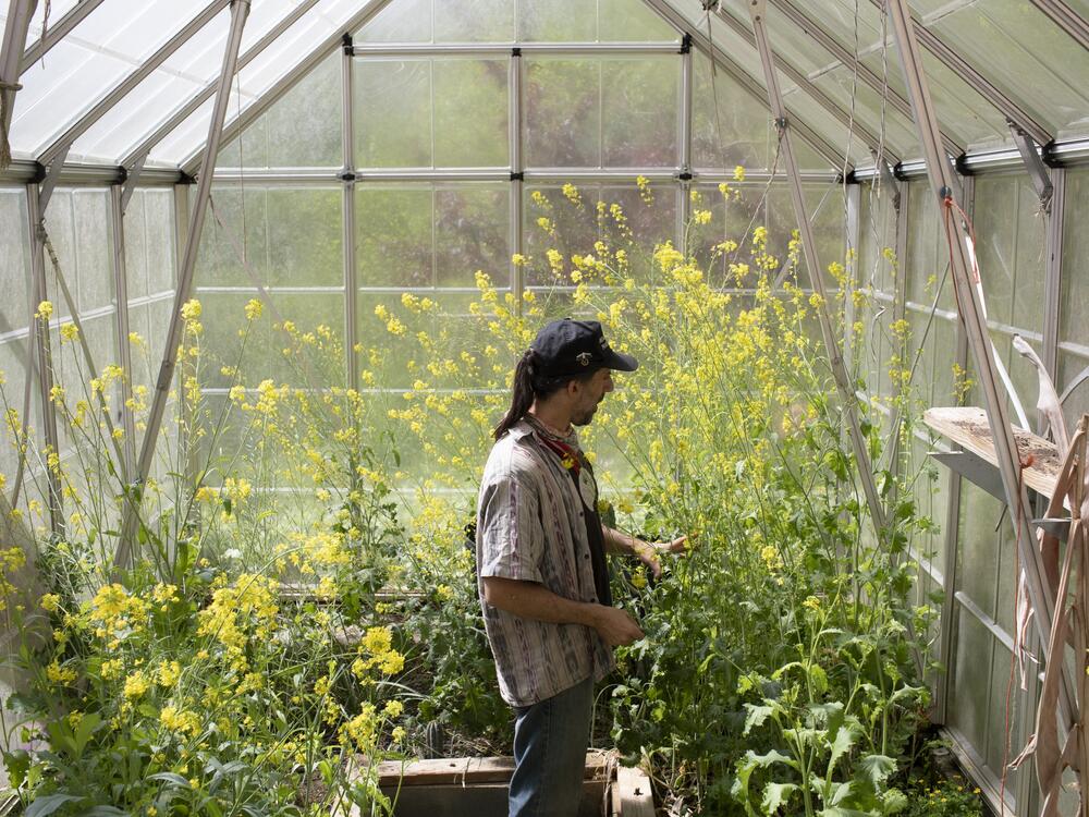 Zev Friedman explores the greenhouse next to his home. 