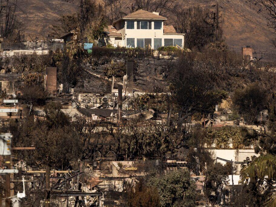 Houses can sometimes survive extreme wildfires, like this one in Los Angeles' Palisades Fire. Building experts say retrofitting groups of homes with fire-resistant materials and cutting back flammable vegetation increases the chances the neighborhood will remain unscathed.