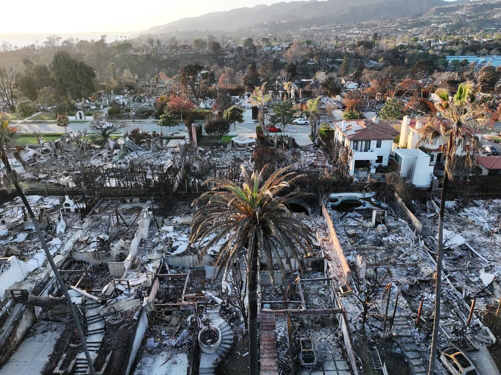 This aerial view shows homes destroyed in the Palisades Fire near homes that survived in January in Pacific Palisades. Sometimes, houses survive high-intensity fires because the winds could have shifted at just the right moment. But more often, fire experts are finding that homeowners of those houses took key precautions that likely saved their houses from burning.