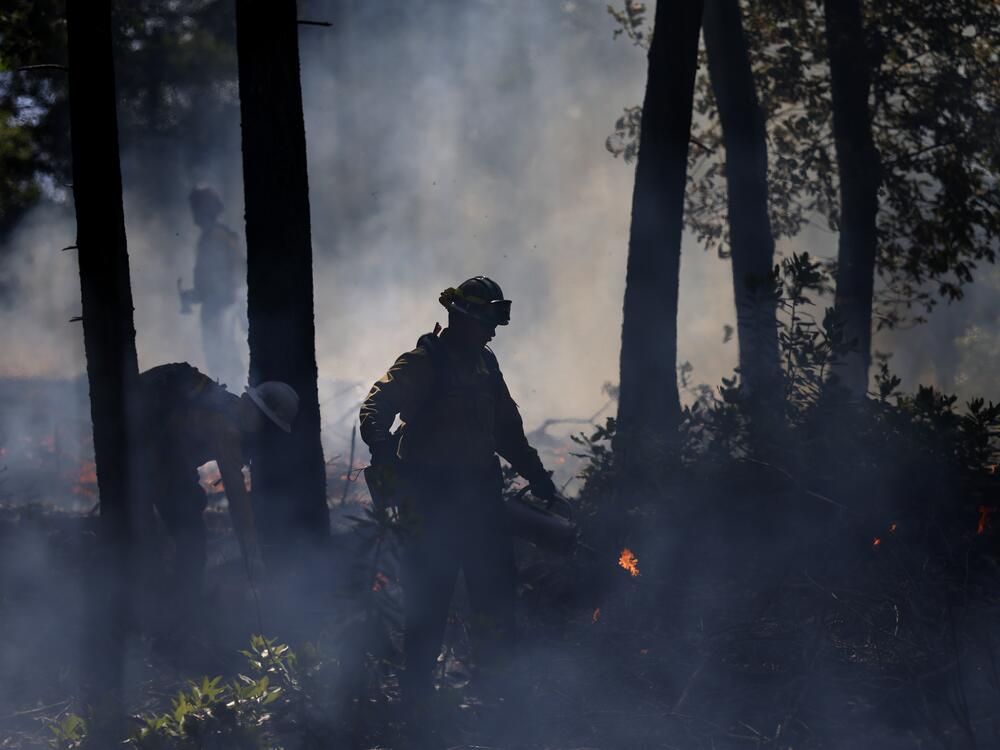A firefighter uses a drip torch to ignite a controlled burn in Angwin, Calif., in May. Napa Firewise, a countywide nonprofit, held a prescribed burn to train Prescribed Burn Association members and to mitigate dry fuels that could advance wildfires in the area as fire season approaches.