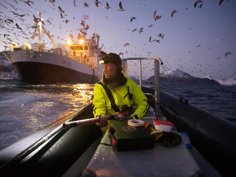 Spatial ecologist Emma Vogel photographed biologist Audun Rikardsen as they tracked whales in a fjord in northern Norway.