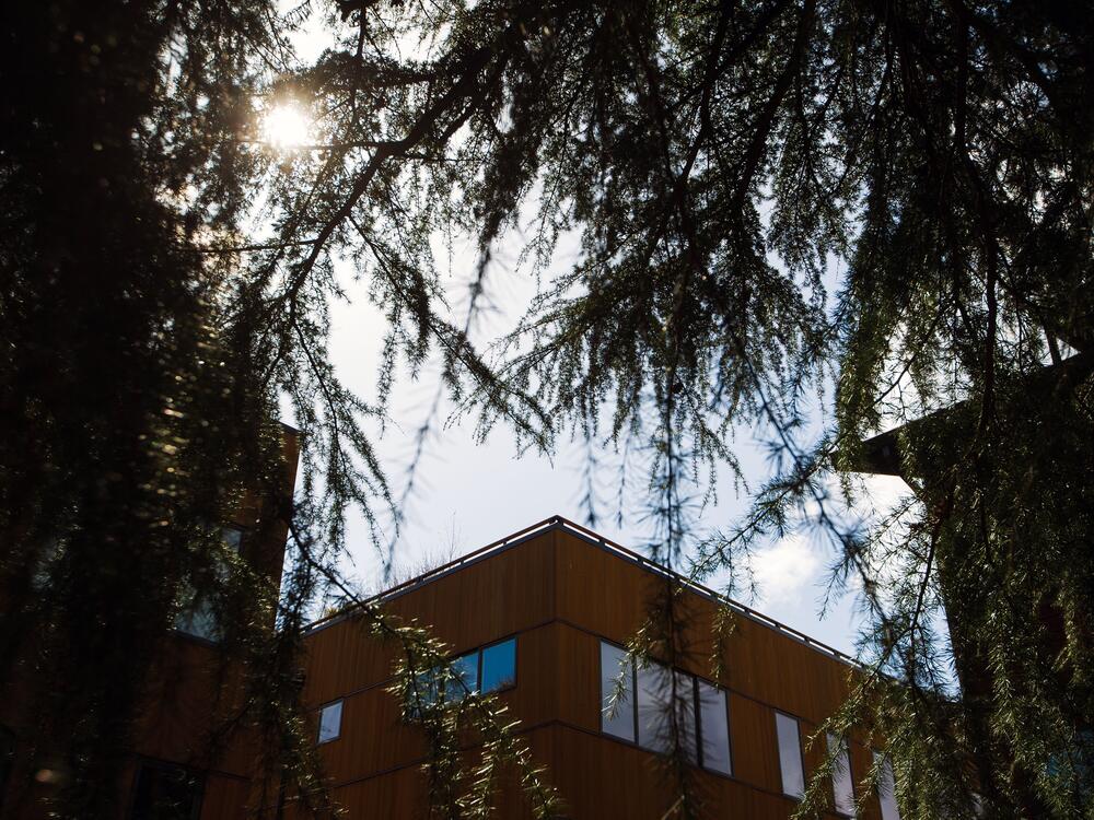 Preserving some trees in Bryant Heights required extra negotiations with the city of Seattle. Special concrete that is porous was used for the walkways beneath certain trees, allowing water to seep down to the trees' roots.