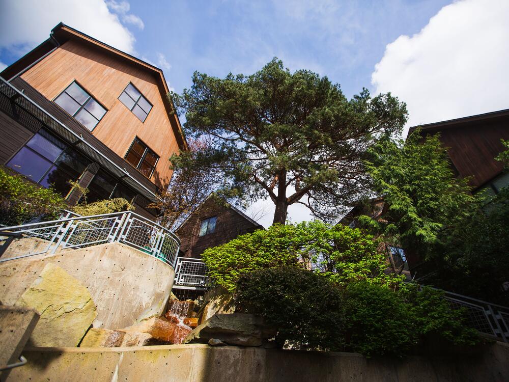 The Boulders development, built in 2006 in Seattle's Green Lake neighborhood, features a mature tree along with a waterfall. The developer also added mature trees salvaged from other developments — placing them strategically to add texture and cooling to the landscaping.