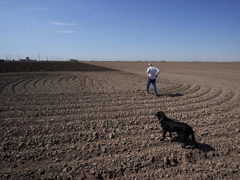 A plowed field near Brawley, Calif. In recent years, drought, climate change and overuse of the Colorado River have led some farmers to fallow their fields. The federal website climate.gov publishes information about drought conditions, among other climate-related topics. The site will stop being updated at the end of the month.