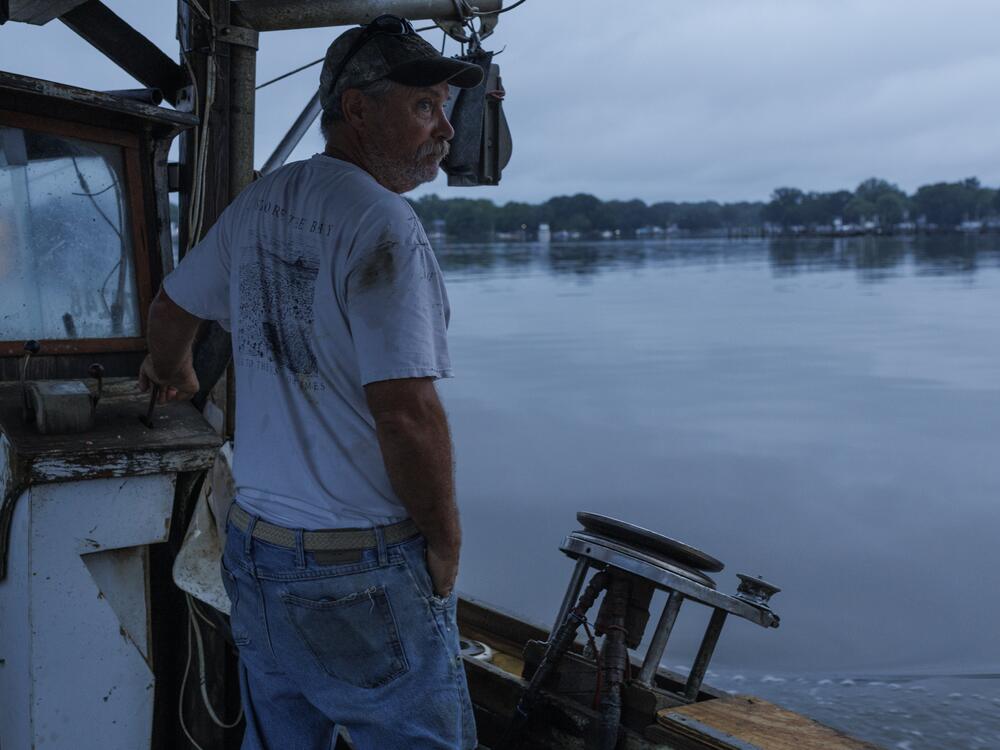 Bill Scerbo, a commercial crabber, works his traps early one recent Saturday, in Shady Side, Md.