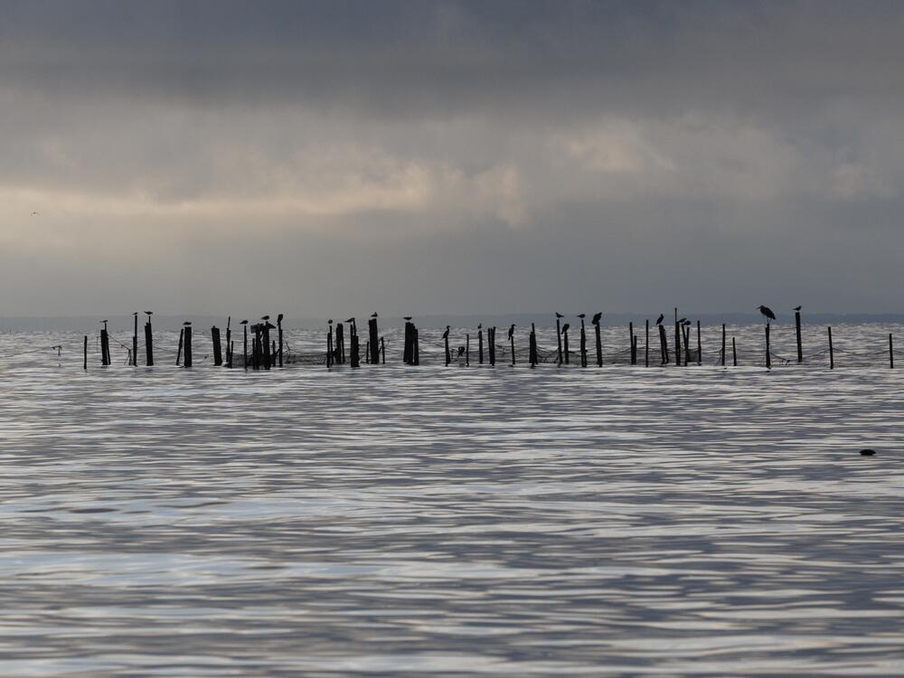 South of the Chesapeake Bay Bridge.
