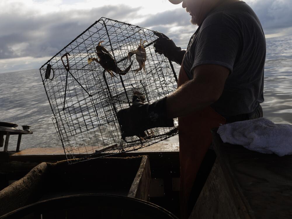 Dave Doswell pulls in a crab pot from the Chesapeake Bay, near Shady Side, Md.