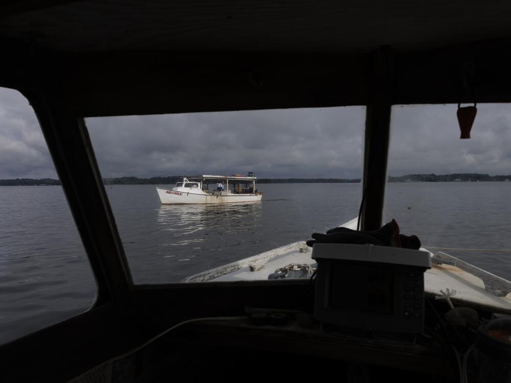 Another commercial crabber seen from Scerbo's boat.
