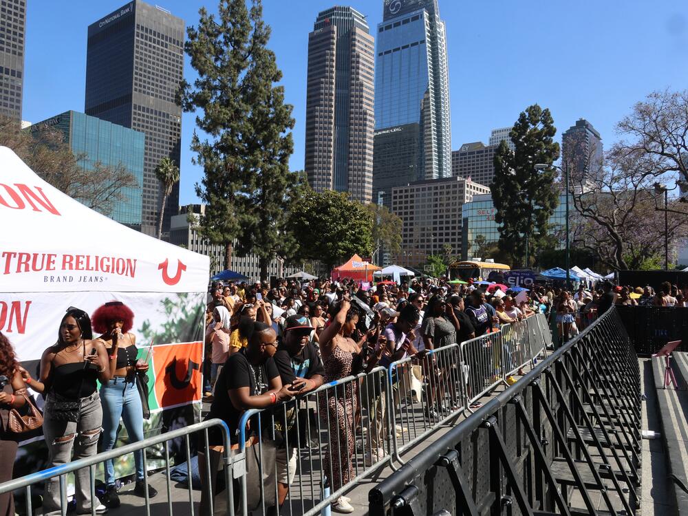 Atmosphere at the 4th Annual Black On The Block Juneteenth Festival on June 15, 2025, in Los Angeles.