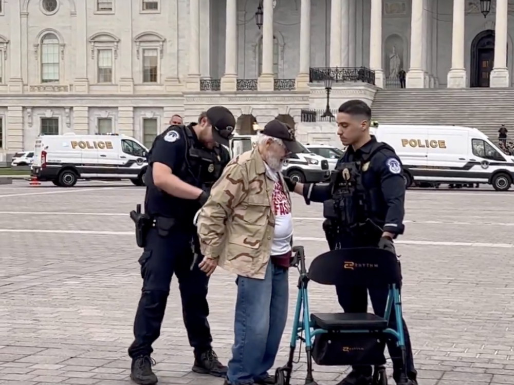 Capitol Police officers arrest Spitzberg at the U.S. Capitol in Washington, D.C., during protests on June 13.