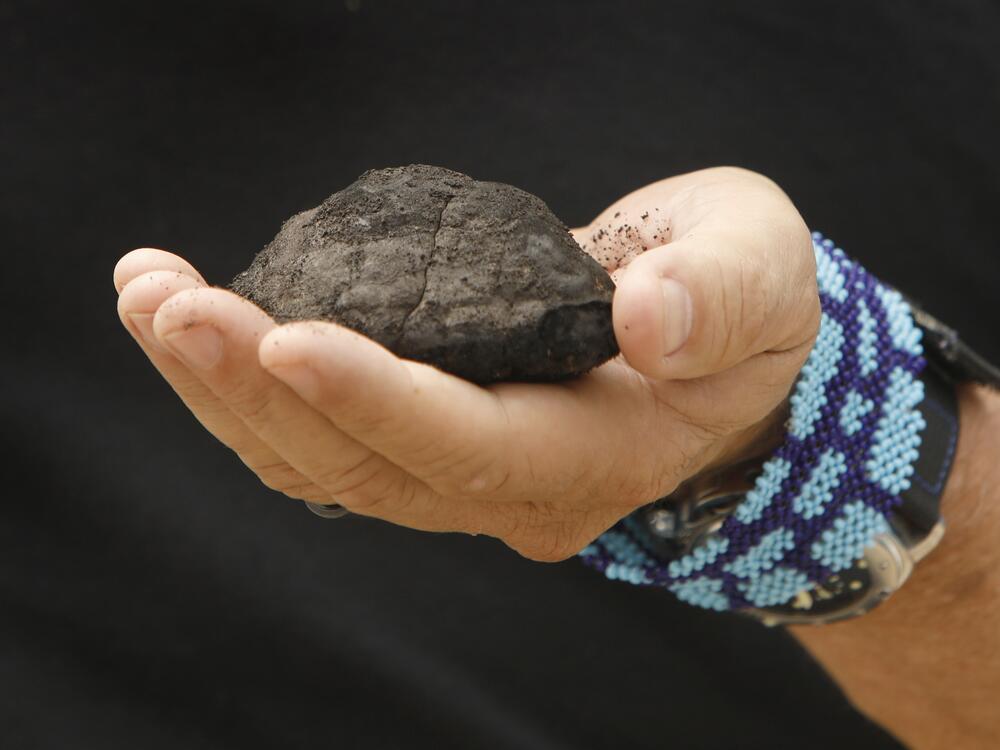 The Metals Company CEO Gerard Barron holds a polymetallic nodule from the sea floor. These potato-shaped deposits form over millions of years as minerals like nickel, cobalt, manganese and copper accrete around pieces of organic matter.