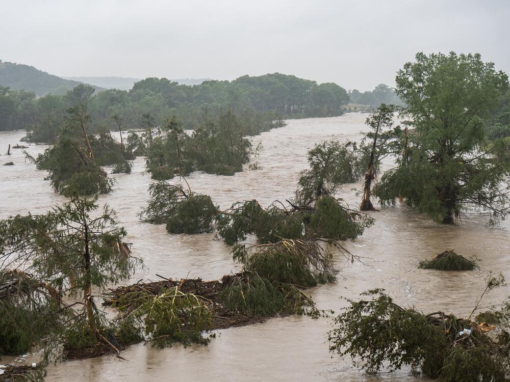 Trees emerge from flood waters along the Guadalupe River in Kerrville, Texas.