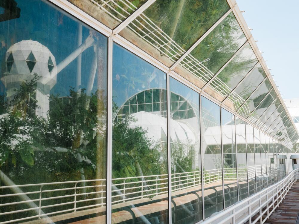 Trees grow against the windows at Biosphere 2 on June 20, 2025 in Oracle, Ariz., U.S.
