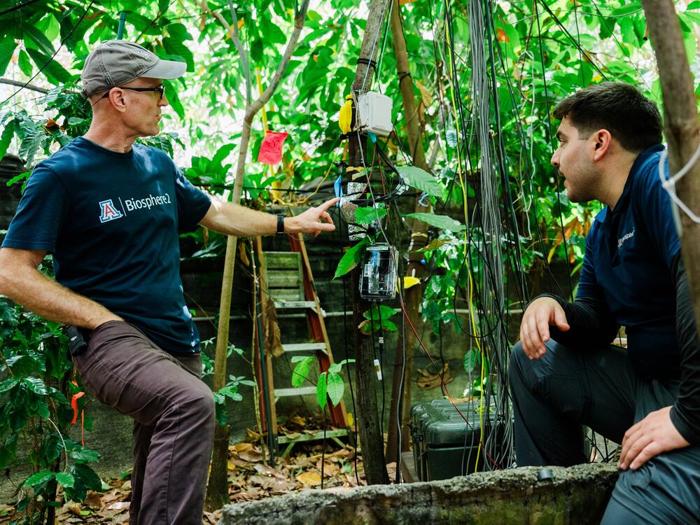 Eco hydrologist Justin Beslity and terrestrial bio manager Jason de Leeuw in the rainforest at Biosphere 2 on June 20, 2025, in Oracle, Ariz., U.S.