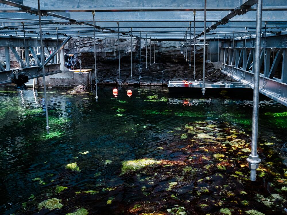 The ocean ecosystem at Biosphere 2 on June 20, 2025, in Oracle, Ariz.