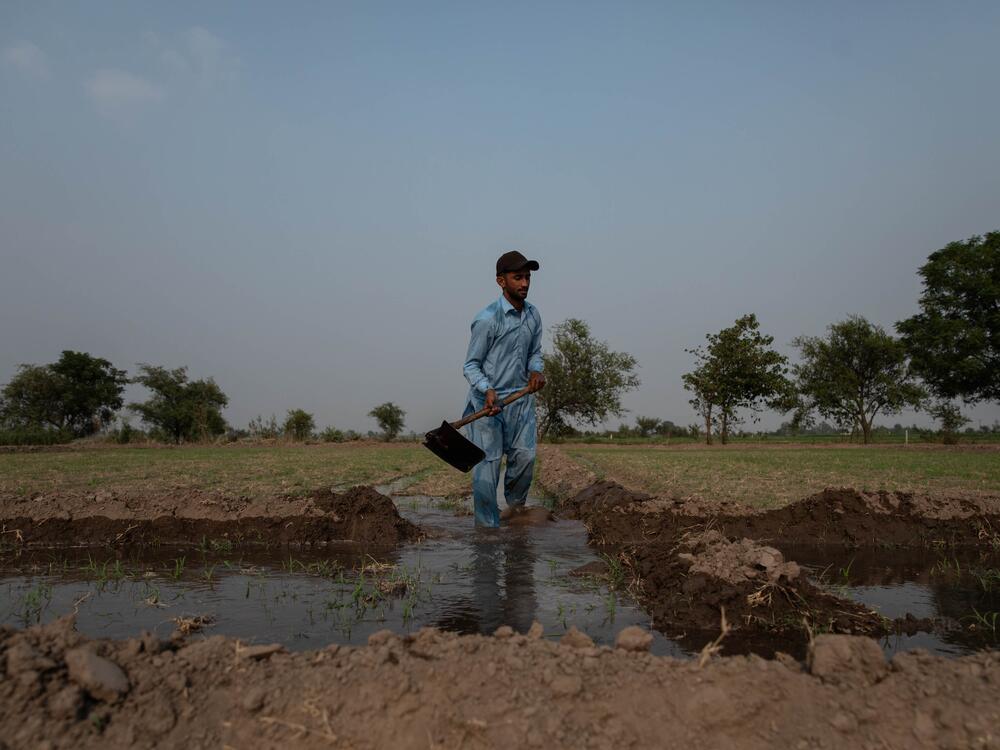 A man works in a field in an agricultural community near the Ravi River, one of the three rivers allocated to India under the Indus Waters Treaty, on June 6 in Lahore, Pakistan.