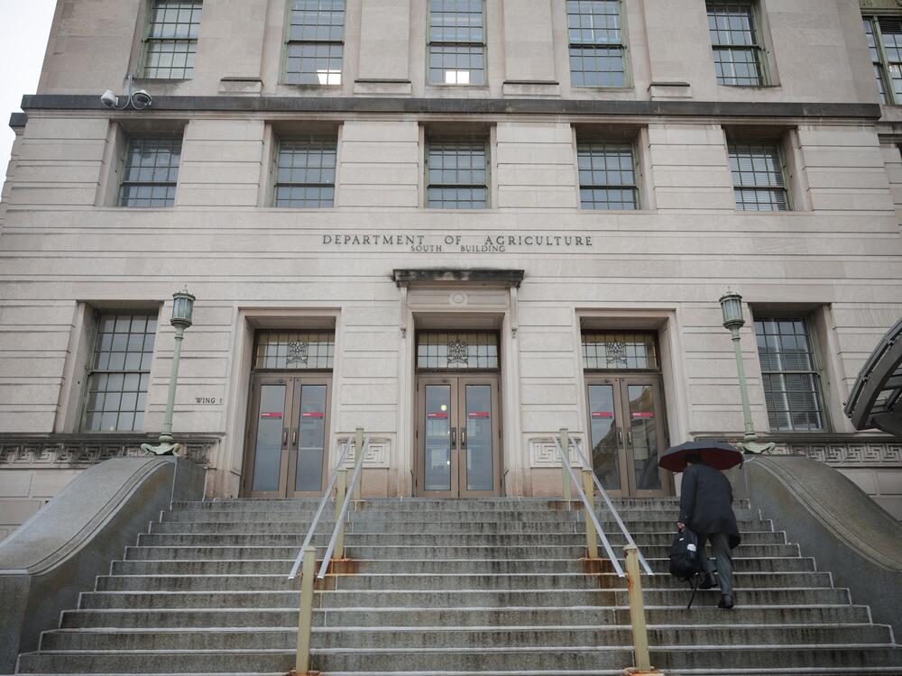 A person walks with an umbrella as rain falls on the Department of Agriculture building in Washington, D.C., on April 11.