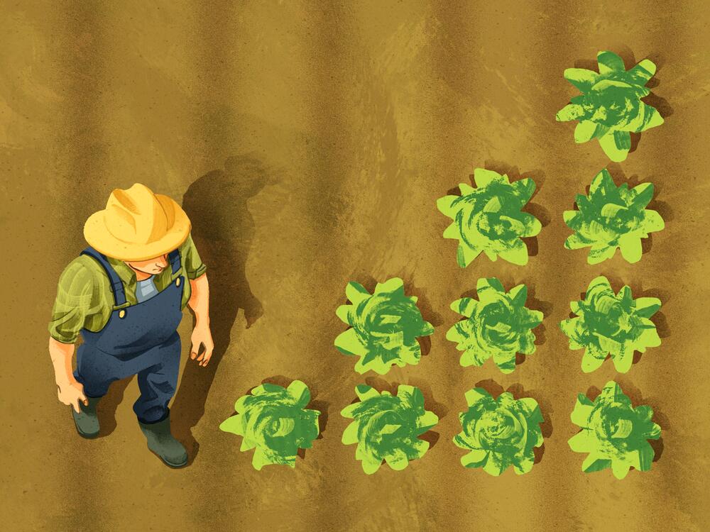 If farmers don't think they'll receive loans or payments they were counting on, it could disrupt entire growing seasons.