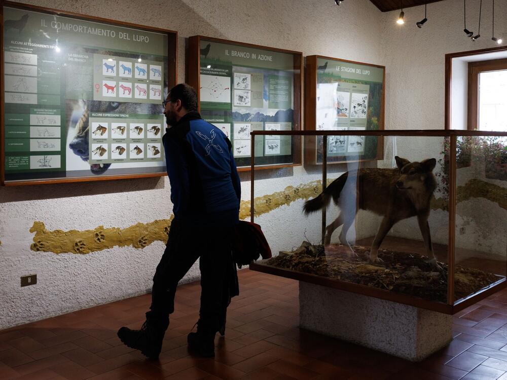 The Apennine Wolf Museum in Civitella Alfedena features exhibitions on the biology, history and legends associated with wolves and their relationship with humans.
