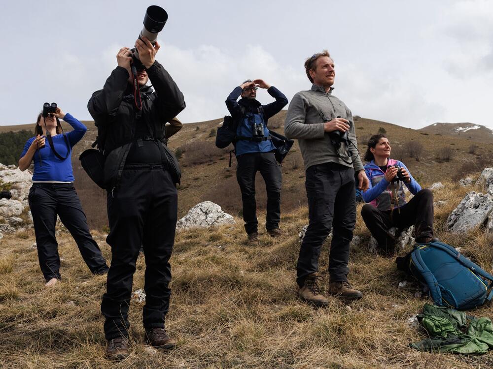 Members of a Wildlife Adventures excursion observe with binoculars, attempting to spot wild animals in Italy's Giovenco Valley.