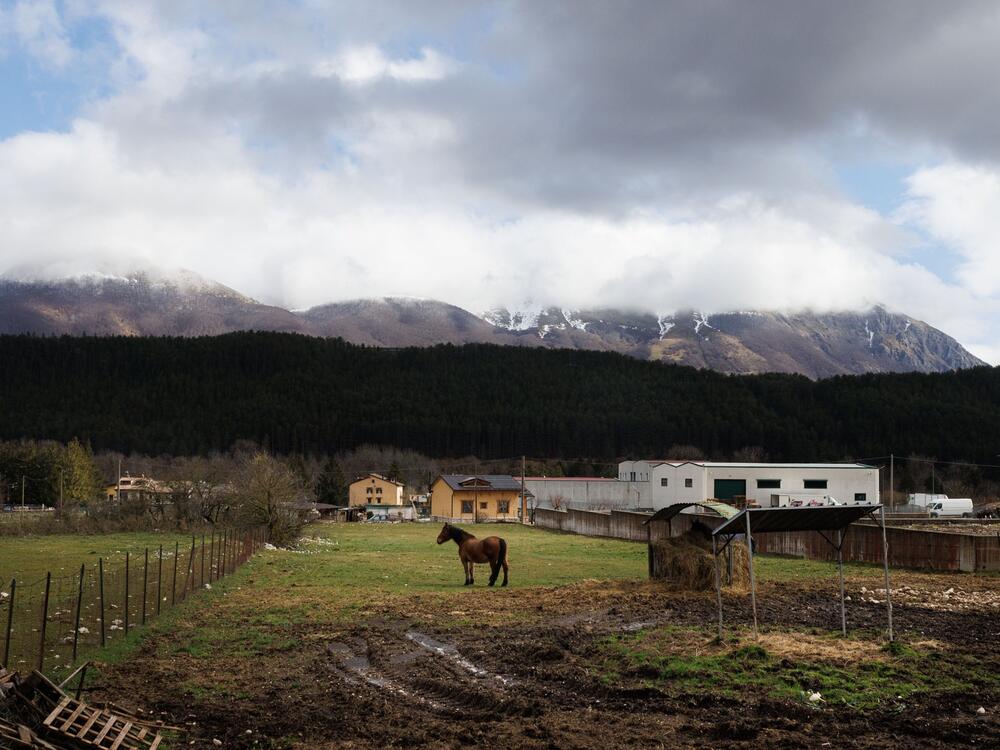 A horse on an estate in Pescasseroli.