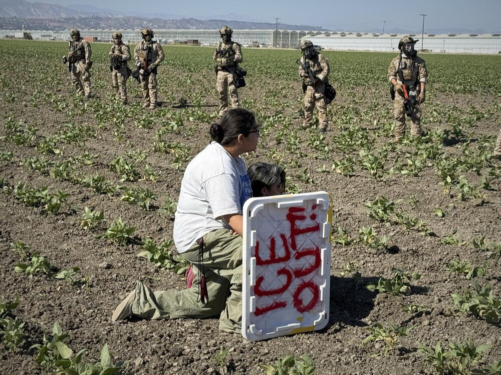 A demonstrator kneels in front of federal agents in a farm field during an immigration raid in Camarillo, Calif., Thursday, July 10, 2025.