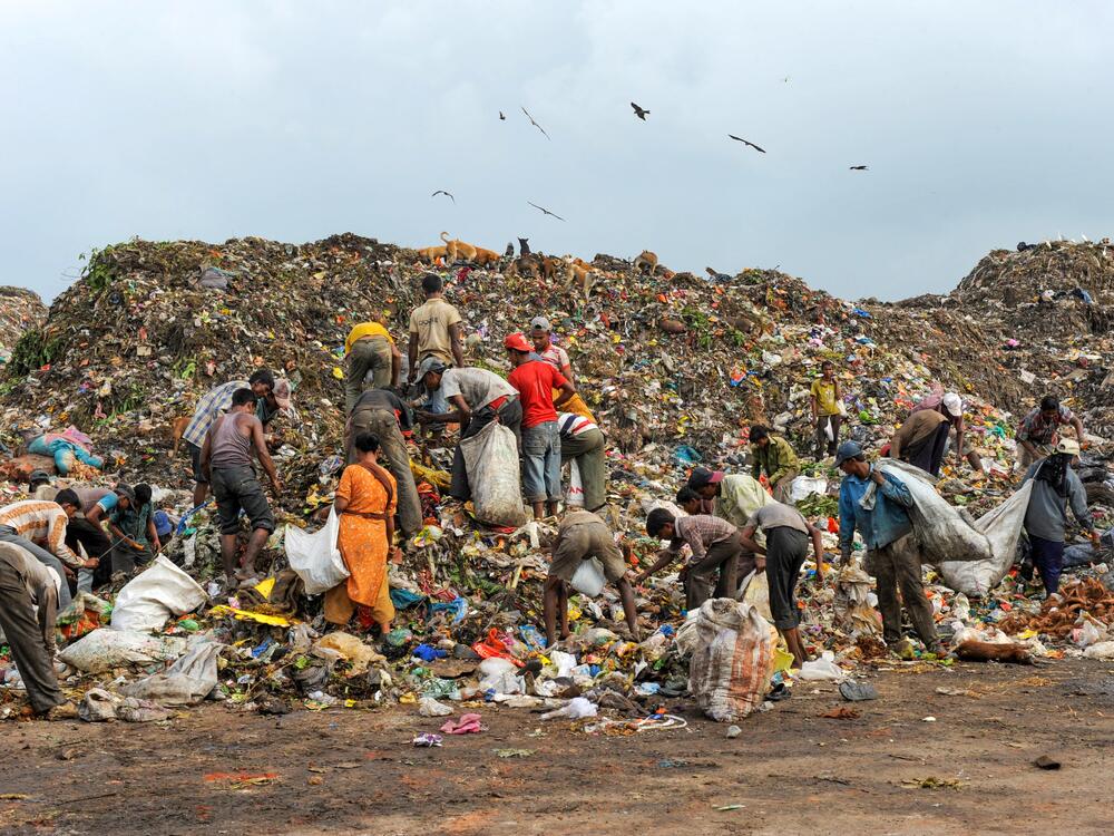 Ragpickers search for recyclable materials like metal and plastic at a dumping ground near Ahmedabad, India, which they'll sell to scrap traders. Working conditions are brutal during severe heat. A new program administered by the Self Employed Women's Association, a trade union, offers a payout for days missed when the temperature hits a certain threshold so the ragpickers can stay home and protect their health without losing income.