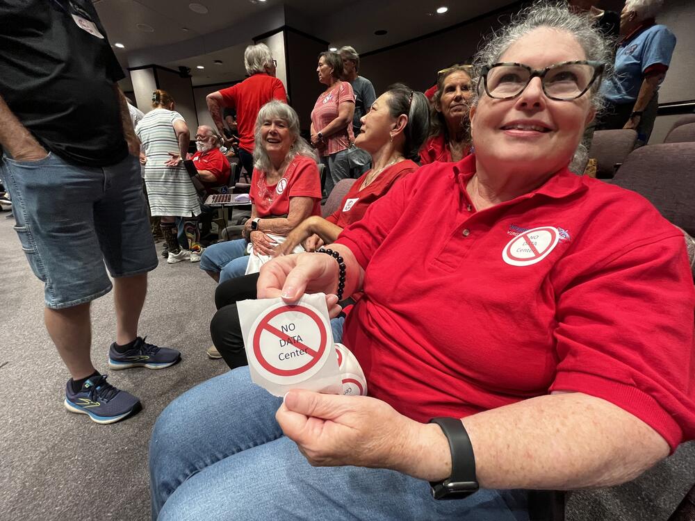 Dozens of opponents of the proposed data center in Chesapeake packed a City Council meeting there in June. Meg Lemaster, one of the organizers of the resistance, shows off stickers opposing the project.
