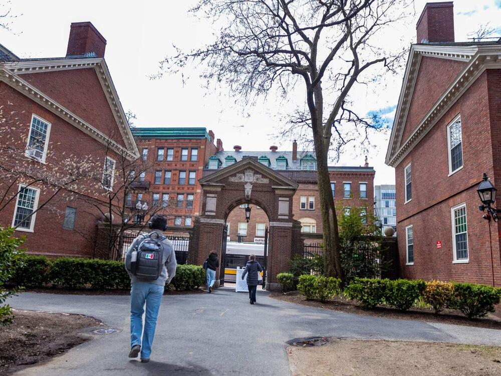 Students walk through Harvard Yard.
