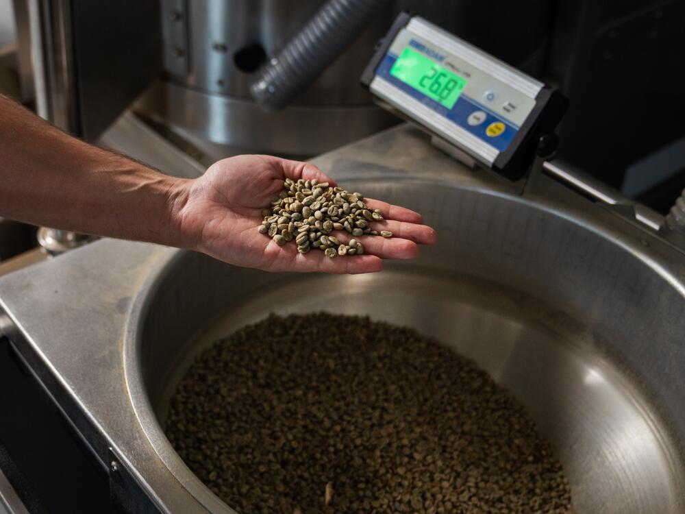 Yerxa holds some green coffee beans before they are roasted at Lost Sock Roasters in Washington, D.C.