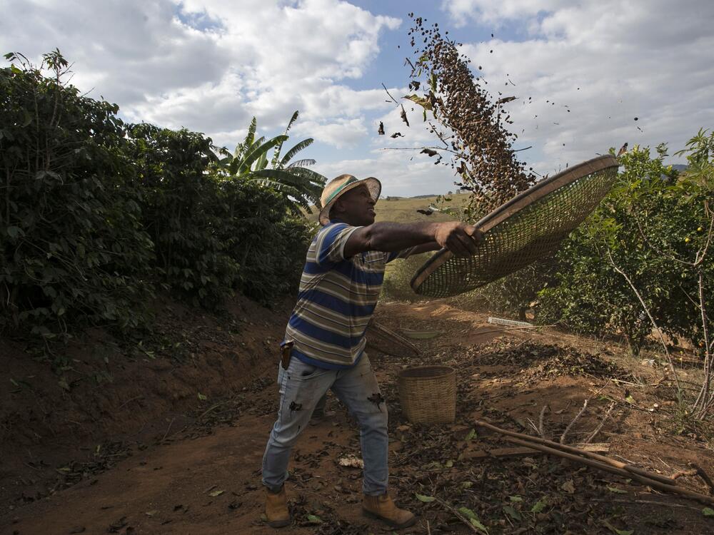 Coffee producer Jose Natal da Silva sifts coffee beans on his farm in Porciúncula, in Brazil's Rio de Janeiro state, on July 17.