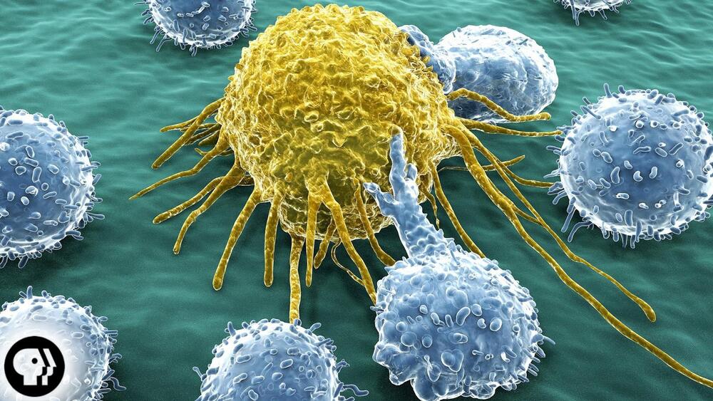 Cancer