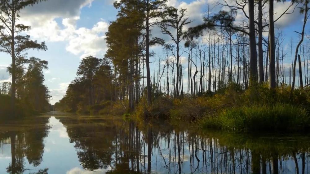 Okefenokee Destiny/Everglades: asset-mezzanine-16x9