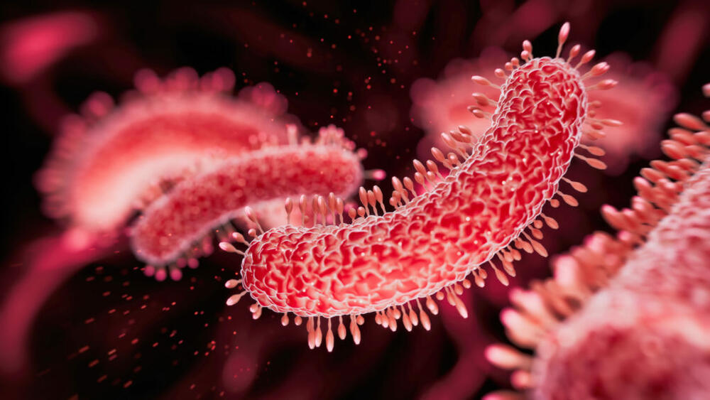 A microscopic view of Mycobacterium tuberculosis, the bacteria that causes tuberculosis. koto_feja/E+ via Getty Images
