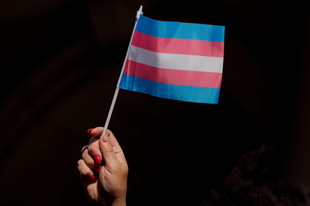 A person holds up a flag during rally to protest the Trump administration's reported transgender proposal to narrow the definition of gender to male or female at birth, at City Hall in New York City, U.S., October 24, 2018. REUTERS/Brendan McDermid