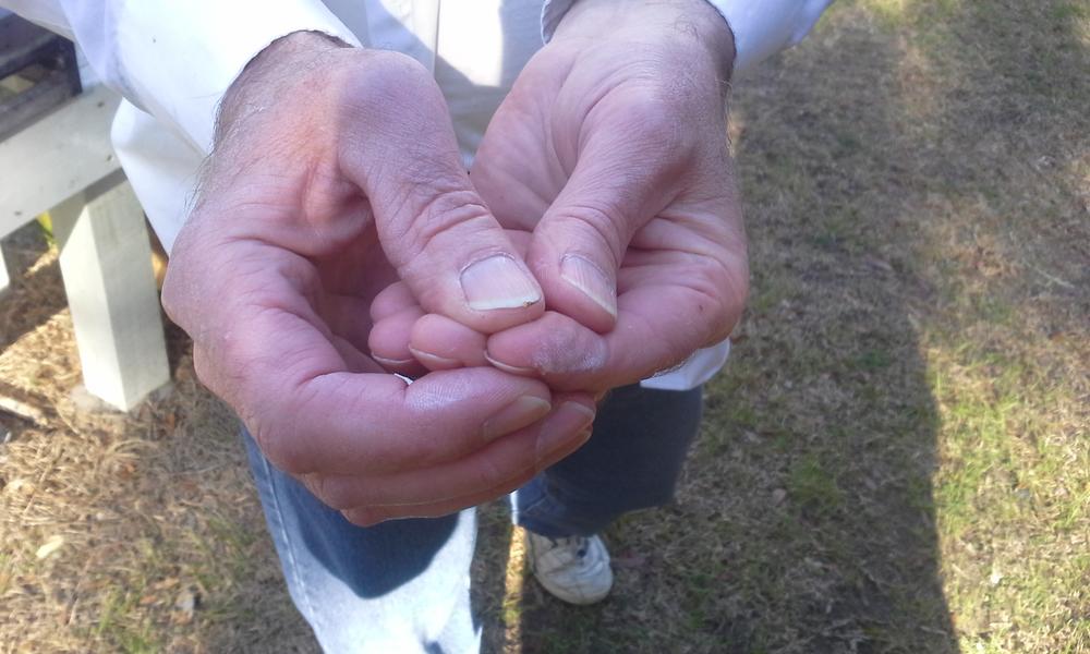 20150206_150811.jpg