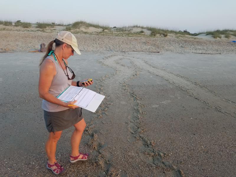 Tammy Smith records GPS data for a turtle crawl on Tybee Island in 2019. 