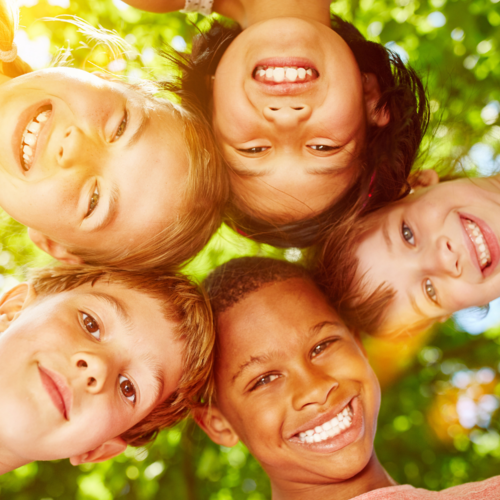       Webinar: Social/Emotional Learning Resources 
  