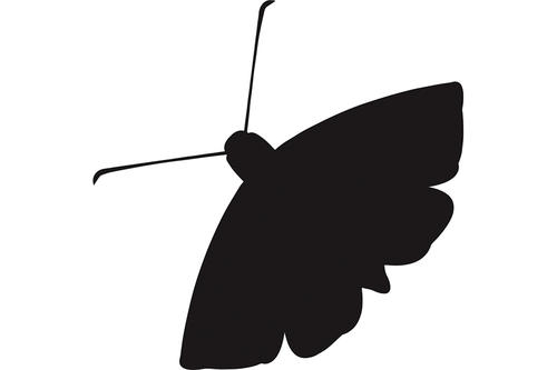       The Moth Virtual StorySLAM: Silenced
  