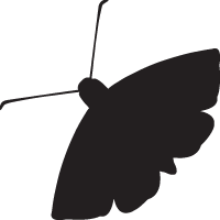 The Moth StorySLAM: Stakes