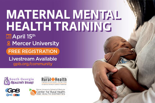 Maternal Mental Health Training
