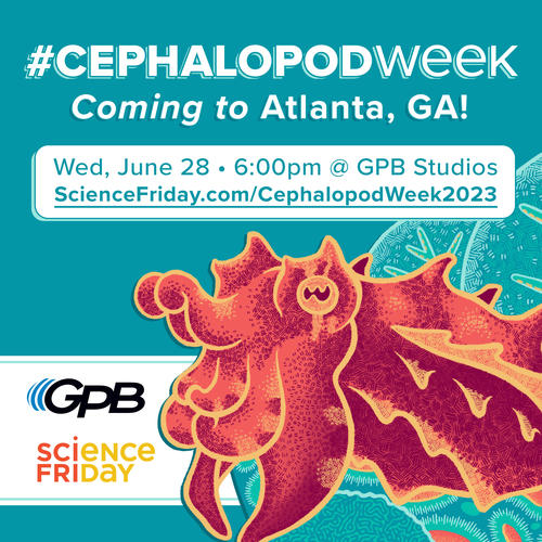       Science Friday's Cephalopod Week in Atlanta
  