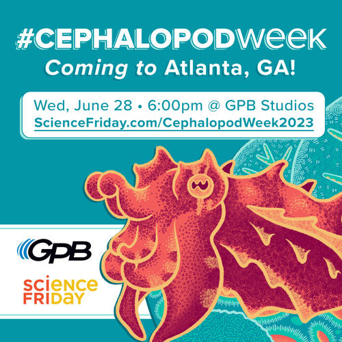 Science Friday's Cephalopod Week in Atlanta