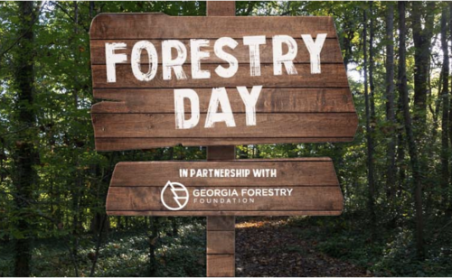       Fernbank Forestry Day With GPB VR Lab
  