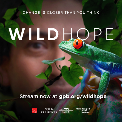 Wild Hope at CompassionCon